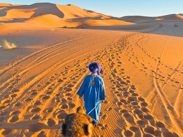 Sahara Desert, a land of history and mystery